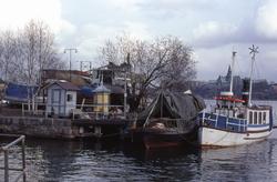 [Text diaram:] BECKHOLMEN "JONNY" 1993-05