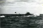 U-båten Sjöbjörnen i Kustflottan 1943.