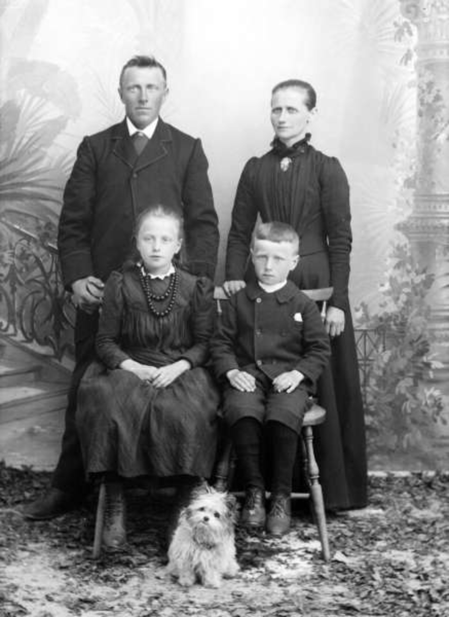 Pro : 29.04.1901. Ø. Tønseth med familie. Gruppebilde, kvinne, mann, gutt, jente, hund.