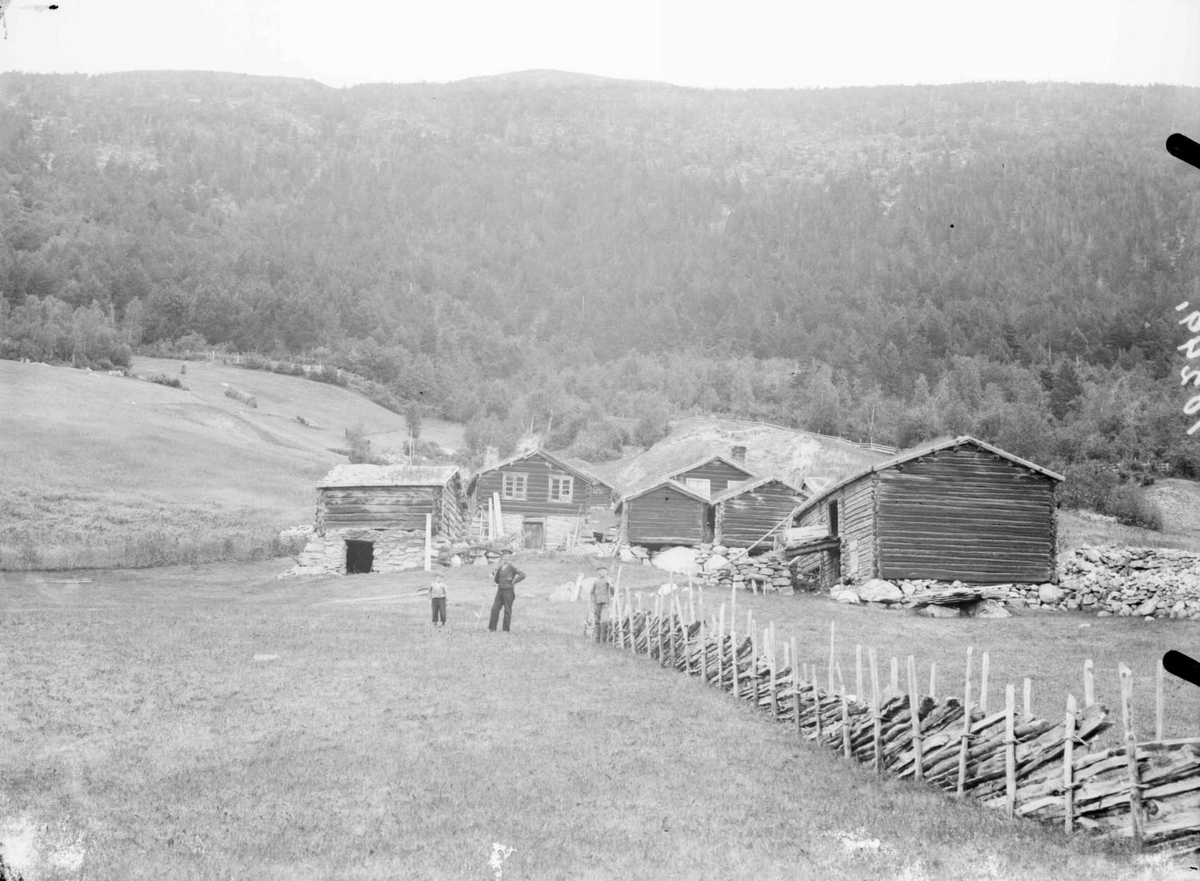 12.08.1907.Gården Brækken nordre (i dag Brekken midtre). Lesja. Bolighus, uthus, gjerde, dyrket mark, skogkledd åsside, menn, gutt.