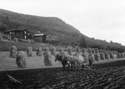 Kort: Nord-Fron 25.08.1908. Landbruk i Byrhagen. Mannen er J