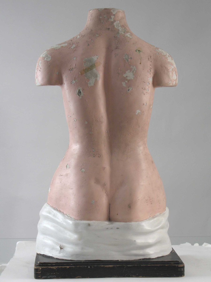 Torso som viser de ulike indre organer, disse kan også tas ut av modellen. Står på en plate av tre.