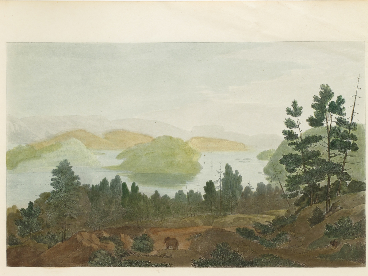 Innsjøen Sinli ( i Grimstadtraktene).  I forgrunnen åsside m. bjørn på platå, i bakgrunnen ser man ned på et vann med skogkledde øyer, omgitt av blå fjell. 