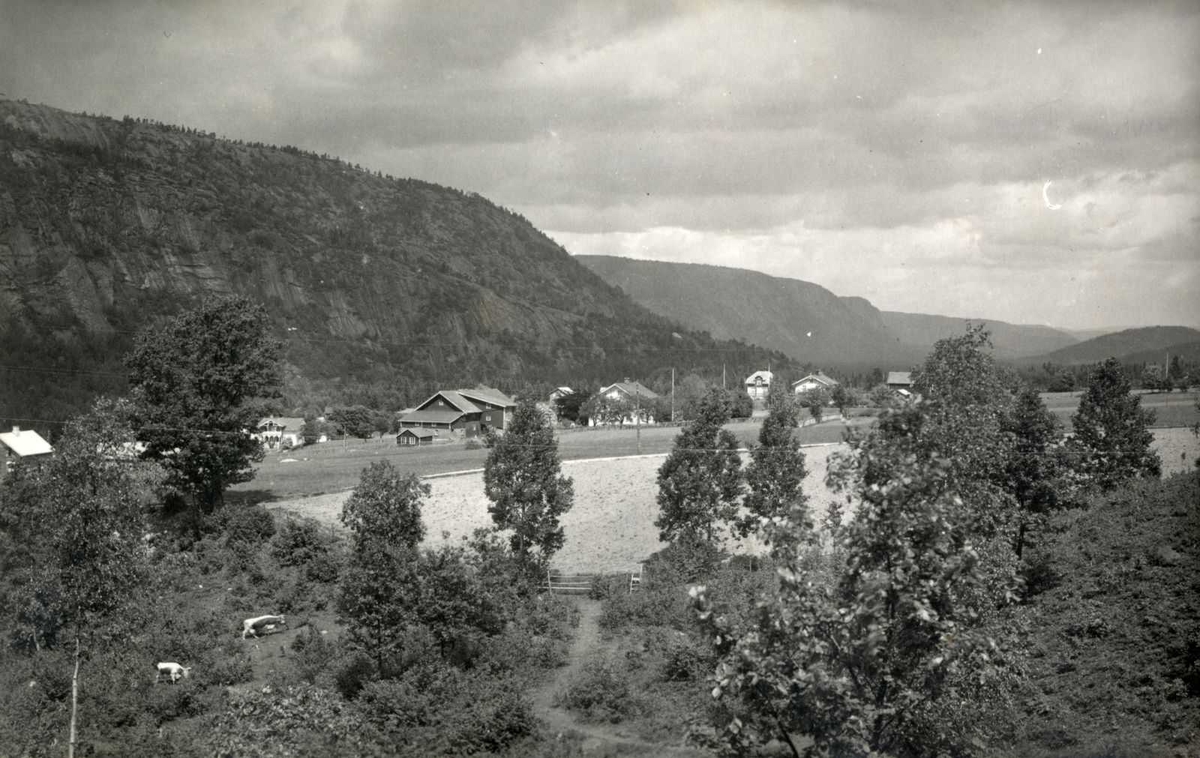 Åmlibilder

