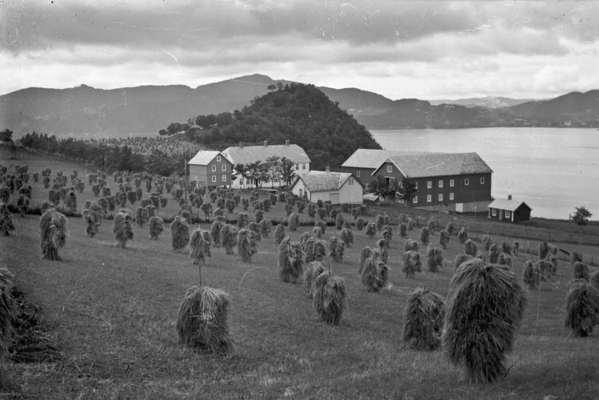 Gårdsbruk ved innsjø - sannsynligvis Mjøsa.