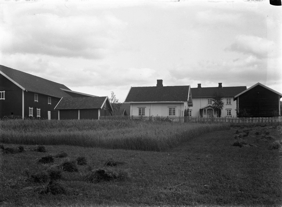 Gårdsbruk