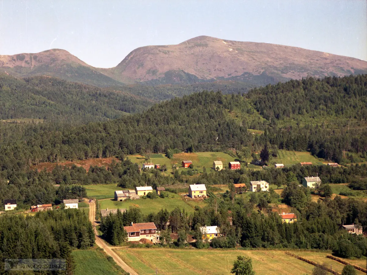 Eier: Beøy, Arthur