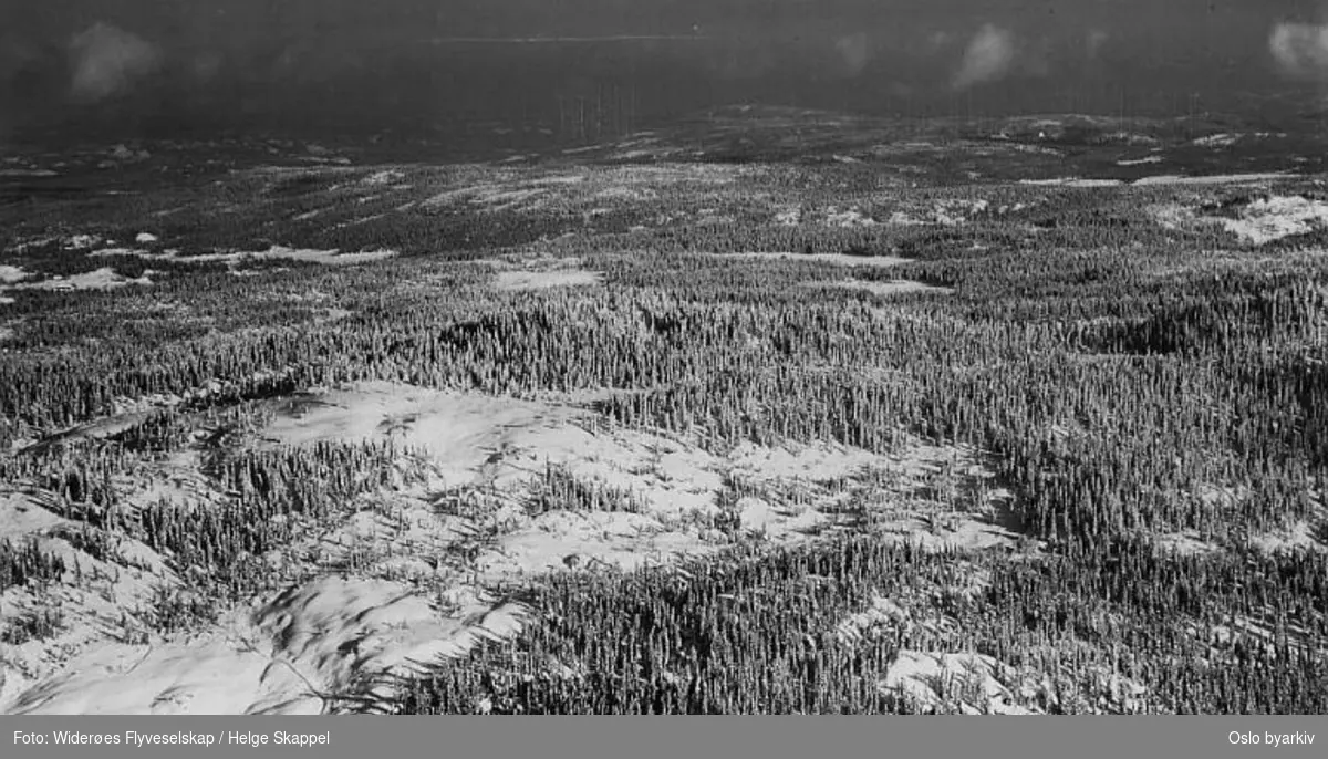 Skoglandskap (vinter) med hugstflater ved Sandungen i Nordmarka. (Flyfoto)