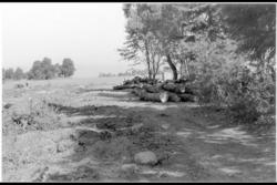 Skogen er borte og det åpner seg nye utsyn.