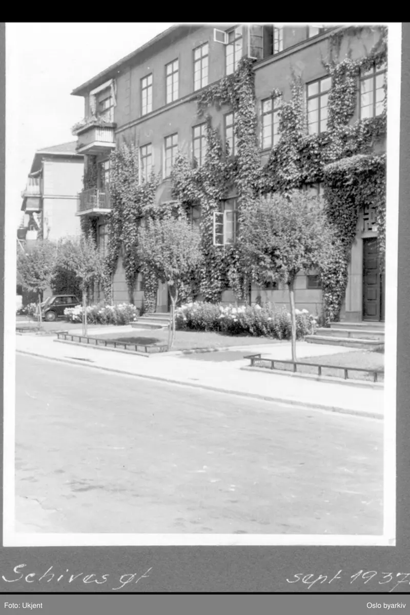 Forhage med blomsterbed og busker mot Langaards gate (ved Schives gate). Husfasade med villvin.
