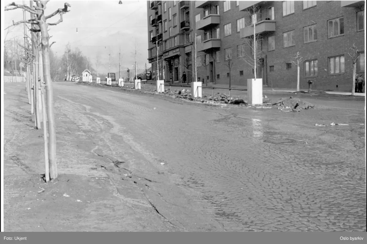 Kirkeveien opp mot Ullevålsveien og Blindernveien. Nyplantede allétrær.