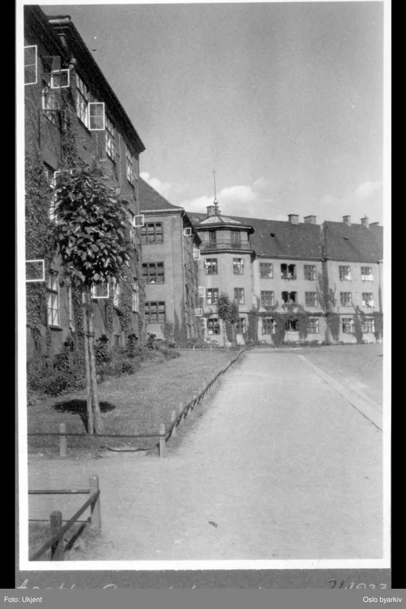 Forhager med blomsterbed og trær mot fortau i Agathe Grøndahls gate. Husfasader med villvin. Erika Nissens gate inn til venstre i bakgrunnen. Fra Torshovkvartalene (Torshovbyen).