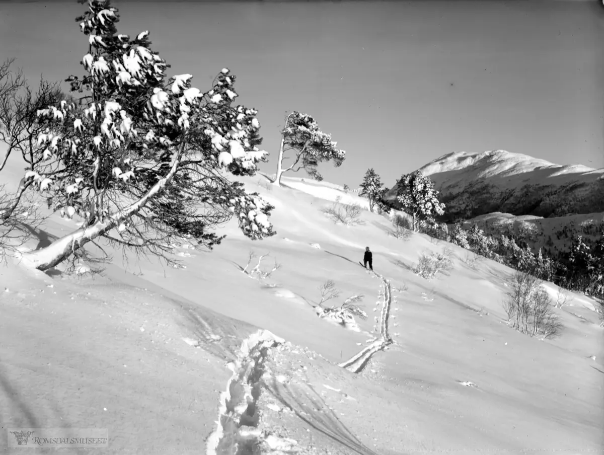 Molde heia, Aase på ski Tusten til høyre.