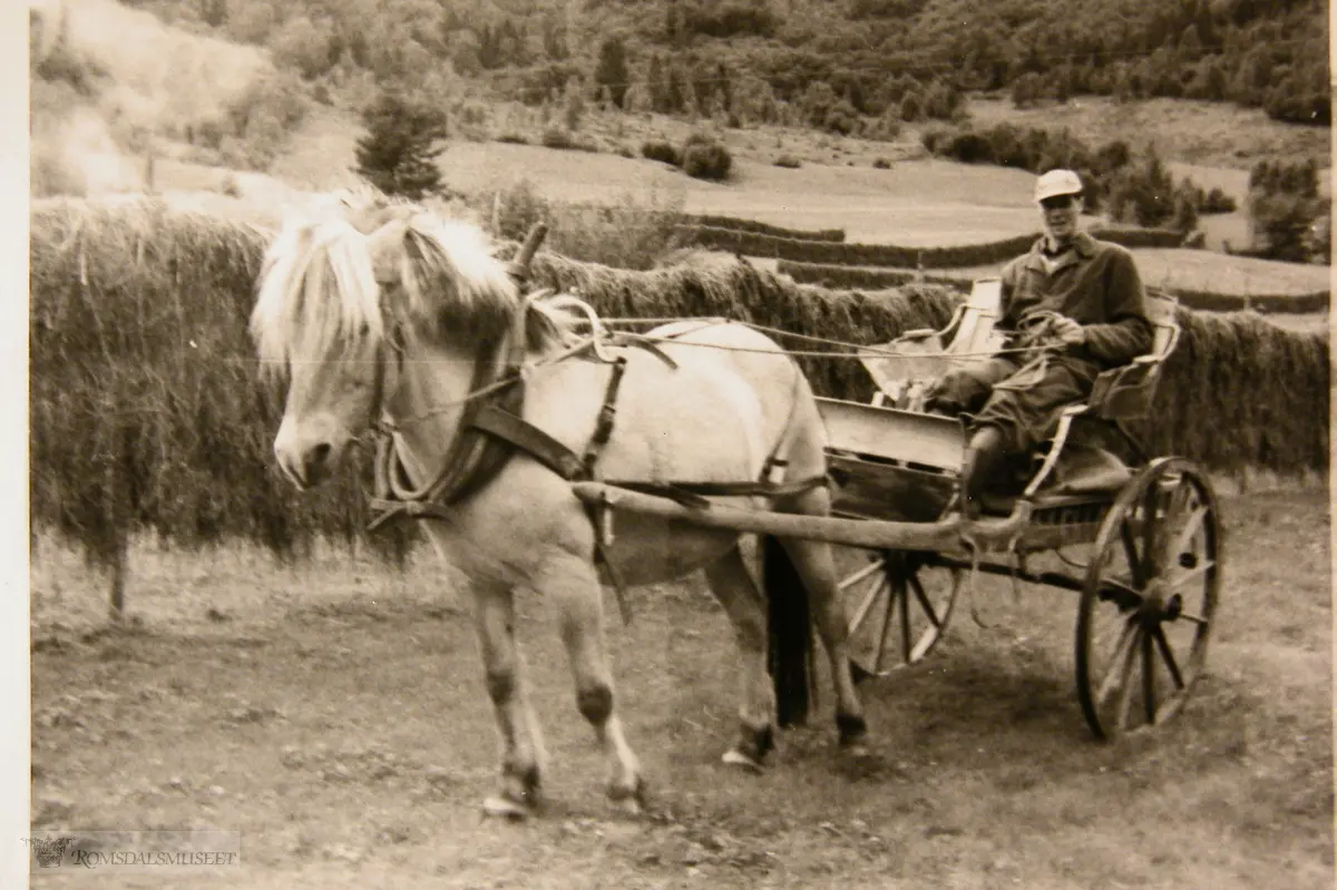 Hest og kjerre