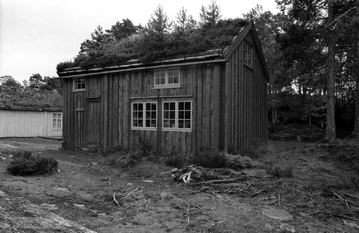 Fiskerimuseet på Hjertøya. .Teistklubbstua. Fiskestue, sjøstue fra Daumannsholmen ved Teistklubben på Hustadvika. .Gavlveggen vi ser på bildet var opprinnelig spontekt før den kom til fiskerimuseet. Stua var sist brukt i 1930-åra. .(Mer om fiskestuene se: "Fiskestuer på Romsdalskysten" av Jarle Sanden. Art. i Romsdalsmuseets årbok 1980, side 44-66).
