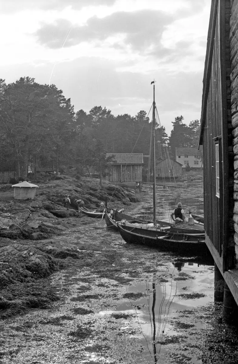 Hjertøyseilasen 1983.Småbåter, åpne båter etter seilasen, Hjertøybukta.
