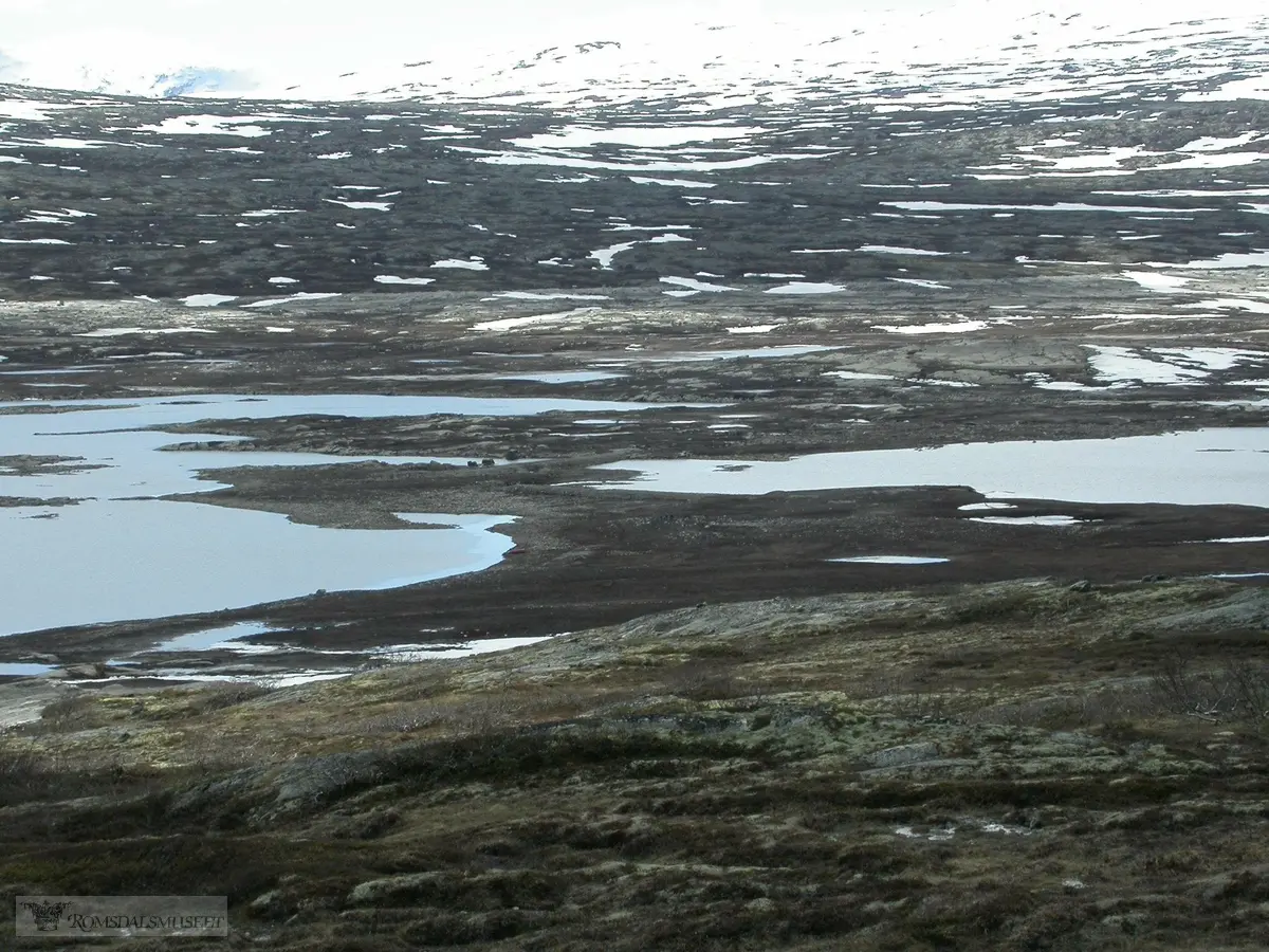 Aursjøen nedtappet 2006.