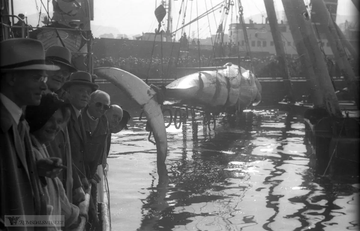 "Miss Harøy" heises fra kvalskuten M.85.SØ "Torgny" i Bergen.