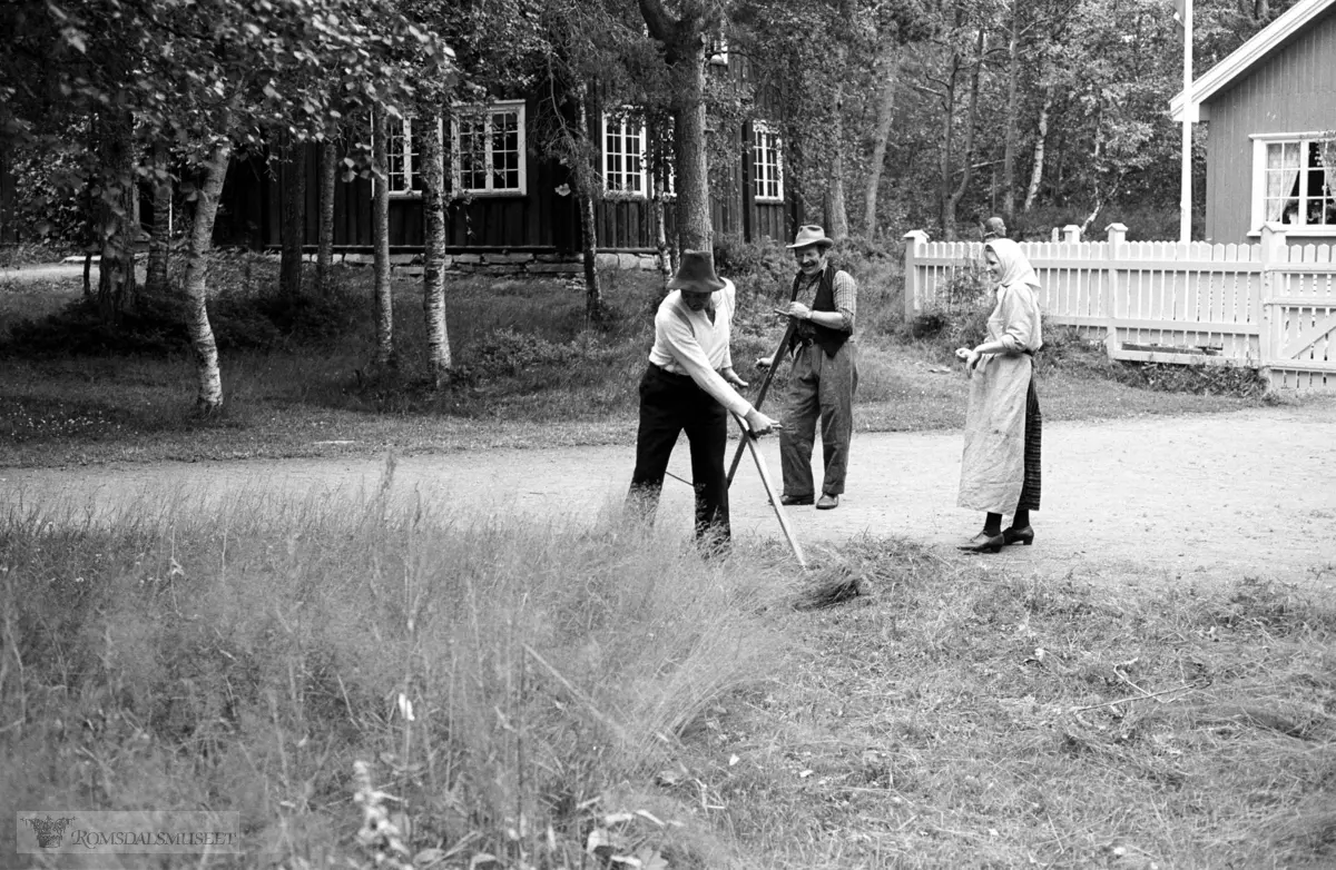 Olsokarrangementet på Romsdalsmuseet 1982. Aktører frå Vistdal bondekvinnelag med flere.