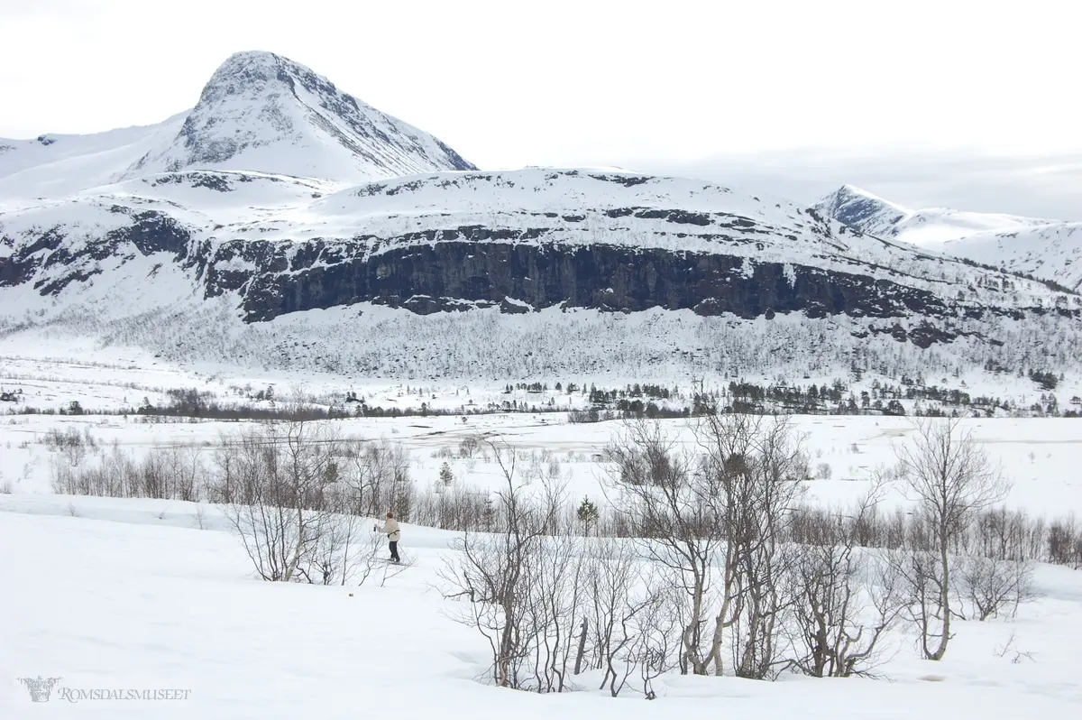 Tinden i bakgrunnen er Steingardstinden..Ryggen i midten er Kvanndalsaksla. ."Bildet er tatt FØR man kommer til Måslia, fotografen har stått ca. 2 km fra skituren begynte på Bythaugen. Jutevatnet er ca. 2 km etter Måslia. Det er tatt rett mot Kvanndalsaksla med Fossåna helt i venstre bildekant. De høge fjella bak aksla er henholdsvis fremst Steingardstinden (noen sier Svartevasstinden) og Høgsvora (1163 m). Kvanndalen går inn til høyre på bildet.”