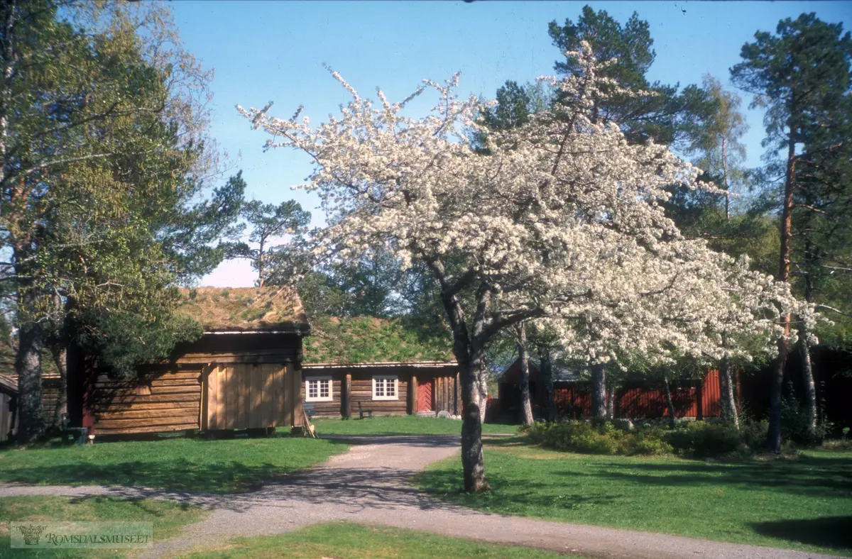 Hammervollstua og Kleivestabburet.