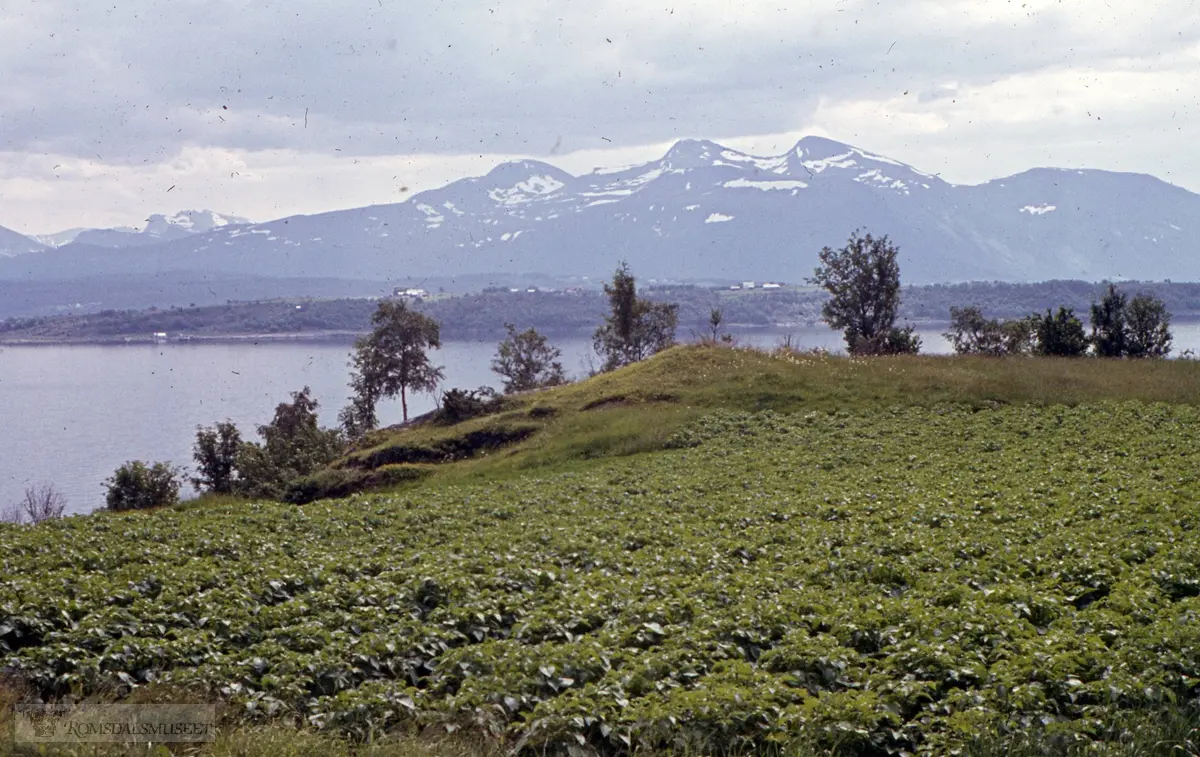 Hagset, Otrøy .(Eske 3 er merket "Oterøya 1965, Tautra Midøya 1966, Hjerkin 1968, Veøya, Fræna Sandvika")