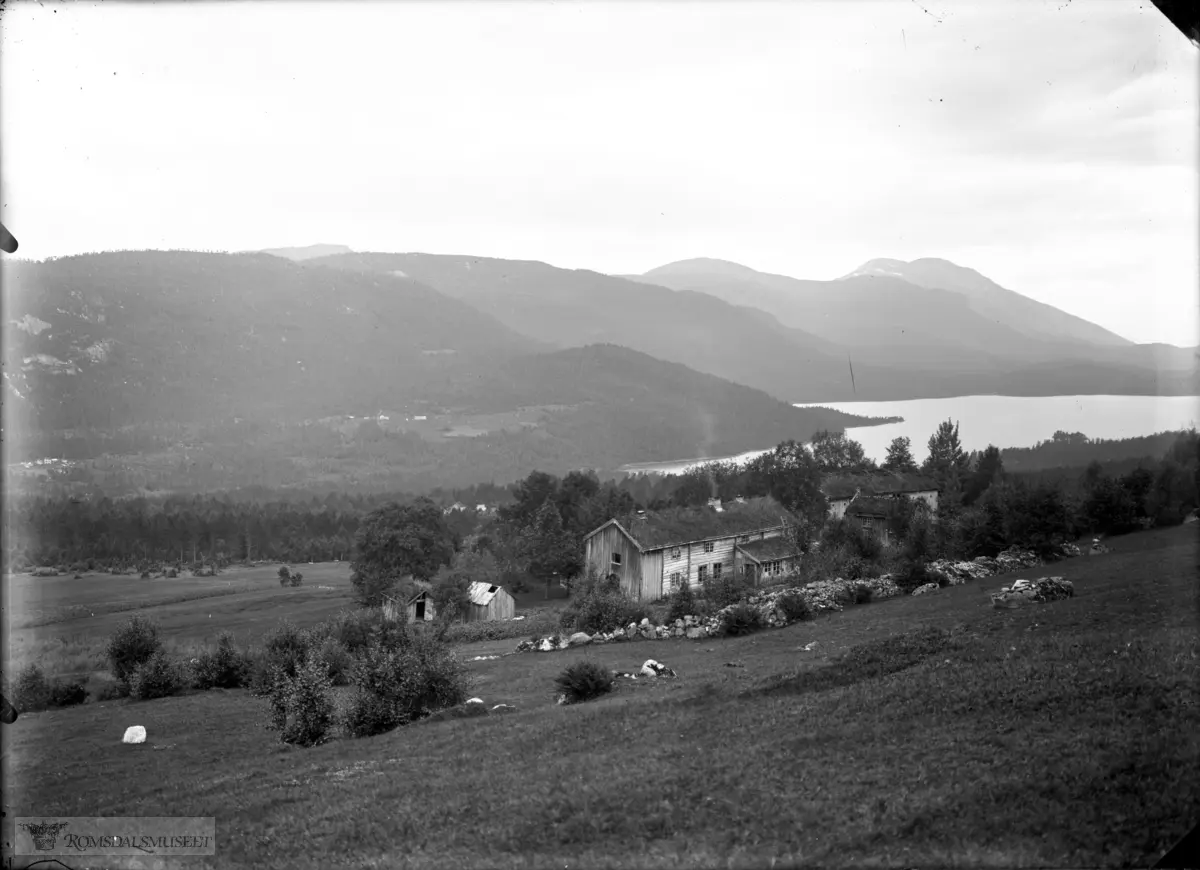 Store-Gussiås 1909.