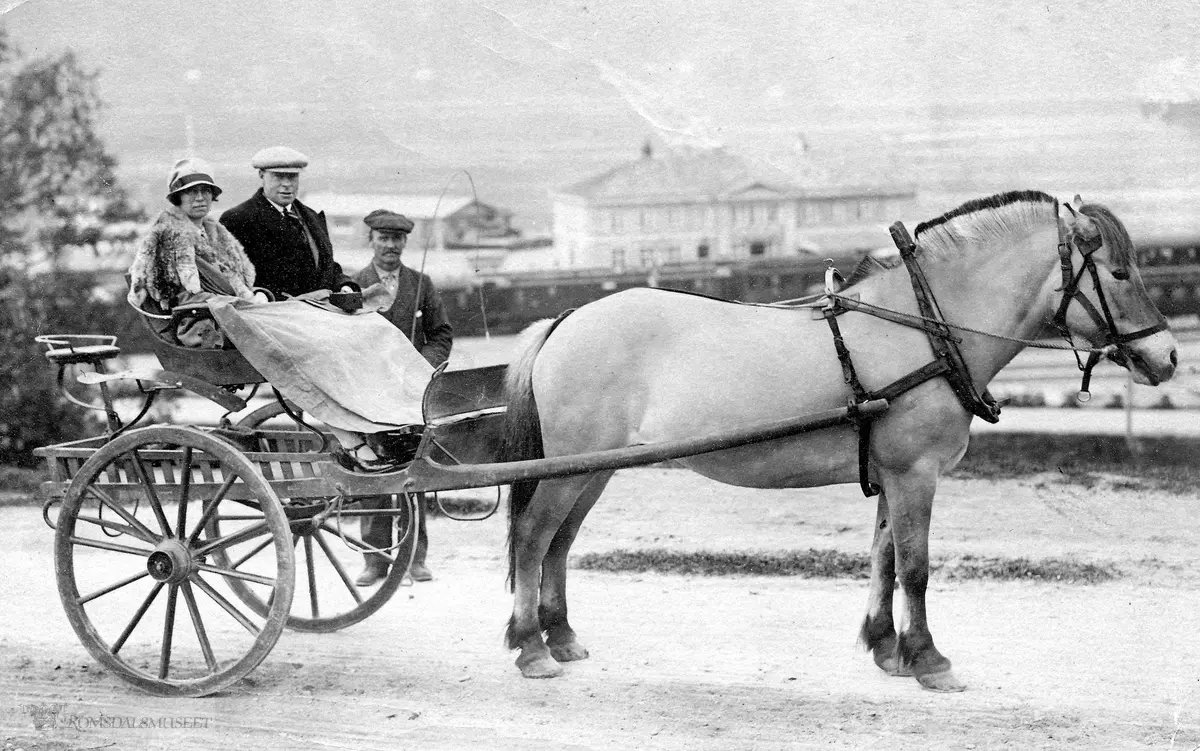 Lars Østigård skysser turister på Åndalsnes i 1927.  Hesten heter Flora.