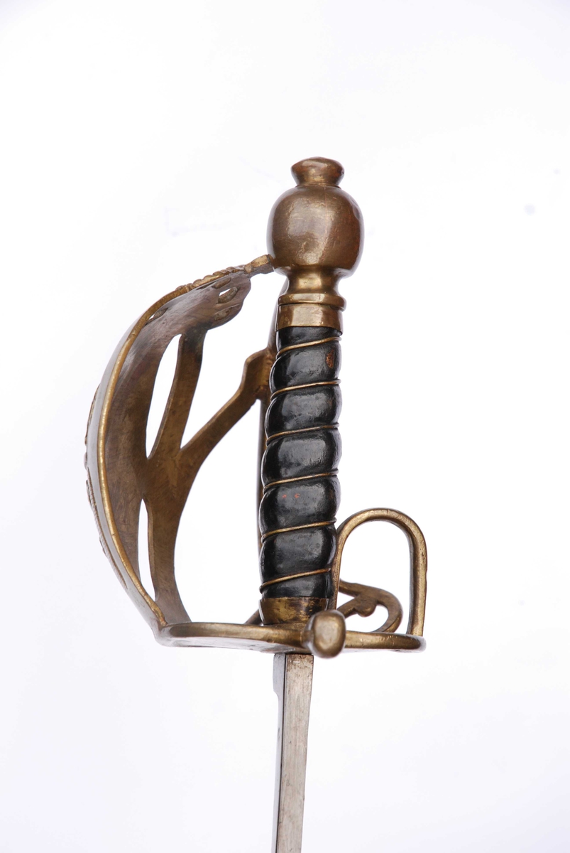 Dragonpallask M1785