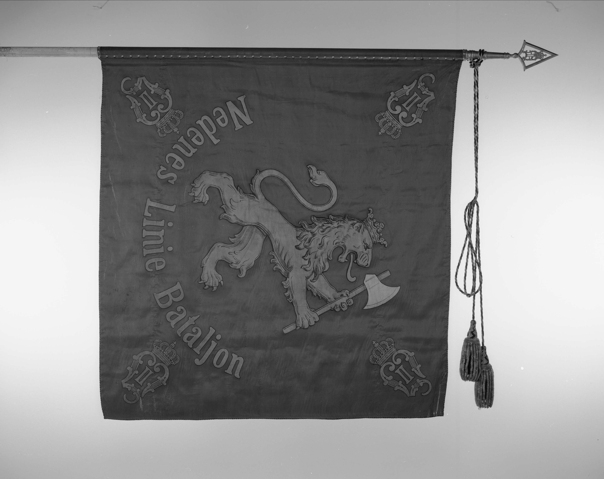 Kristiansandske infanteribrigade. O.II.
Nedenæs Linie Batailon.
Silkefane.Midt på Den norske løve. I hjørnene kronet OII monogram. Banderoler med kvaster. Spiss med kronet O II.