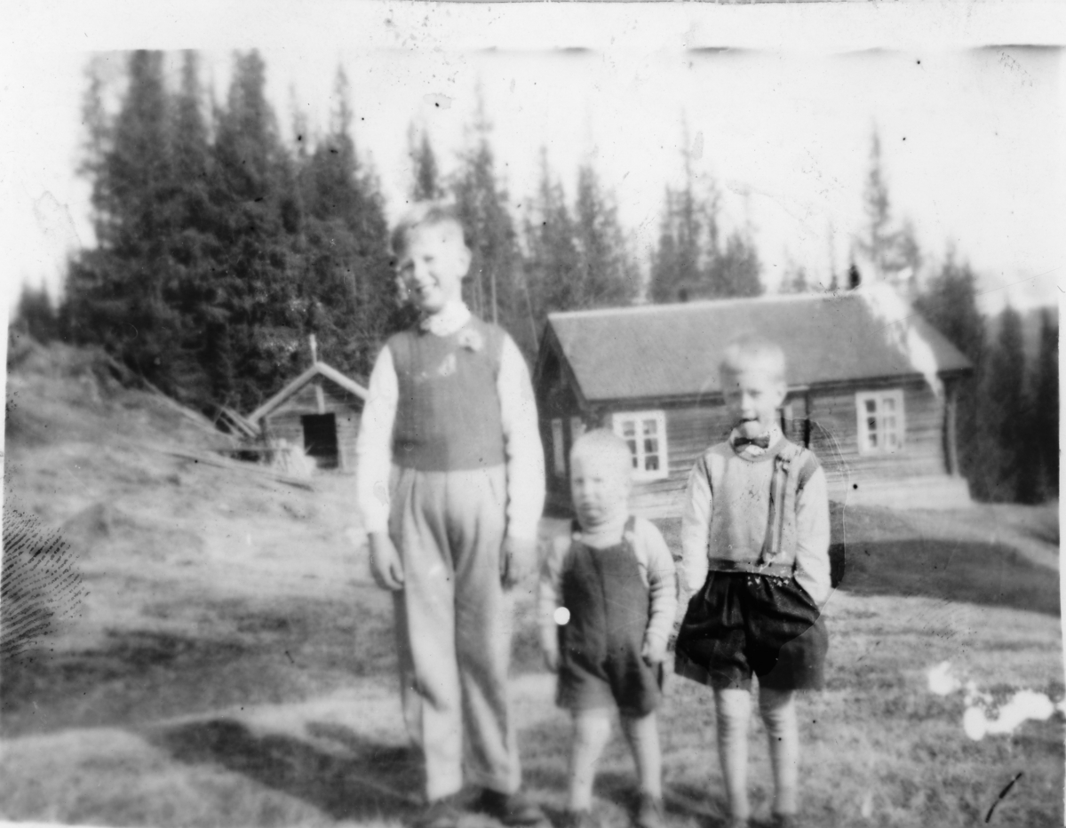 Gruppebilde 17 Mai
Slippover,bukse,kortbukse,sløyfe,hallingstugu og skåle..
Frå h.,Herbrand Lio, Oddbjørn Lio og Erling Lio.