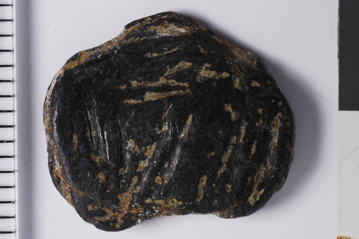 Begge sider viser Konturer av et våpenskjold. den ene siden viser et mulig skrått bånd fra øverst til venstre og ned til høyre som deler skjoldet. den samme plaketten har svake antydninger til kroppen av et stående fabeldyr til høyre for skjoldet. 