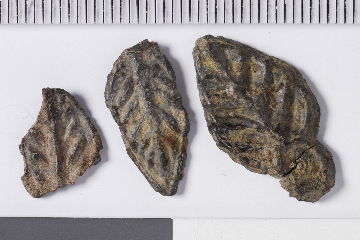MALV: L. 23  ST. B. 12, 9 MM, BLADFORMET MED "BLADNERVEDEKOR". RESTER AV STIFTSITTER IGJEN I HULL. BESLAGET VIRKER DOBBELT MED RESTER AV MATERIALEI MELLOM. 2 FRAGMENTER MED SAMME DEKOR OG FORM. 