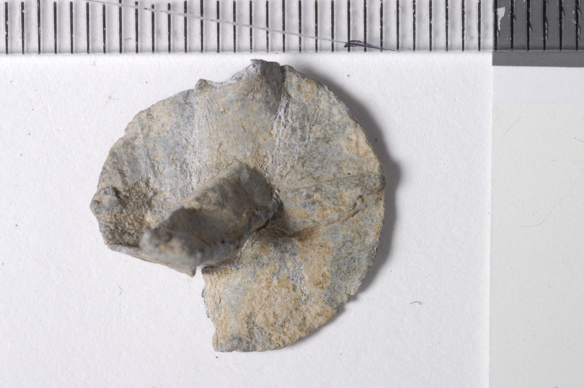 MALV: HODETS D. 18 MM, RUNDT FLATT HODE. 