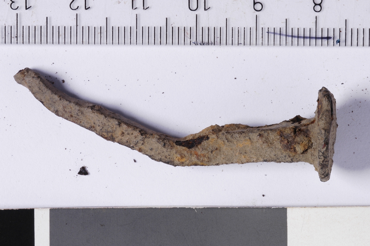 MALV: L. 5, 5 CM
