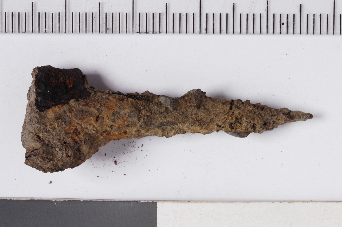 MALV: L. 4, 2 CM