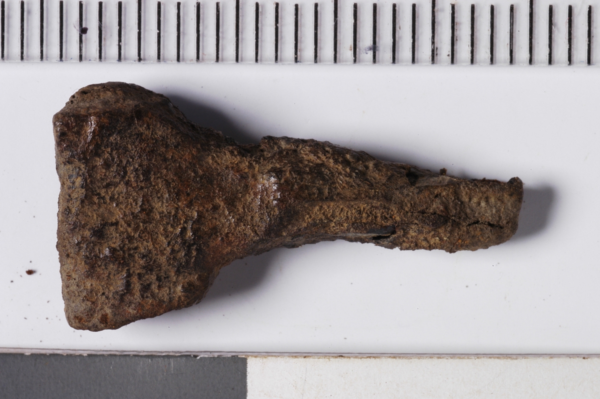 MALV: L. 2, 3 CM