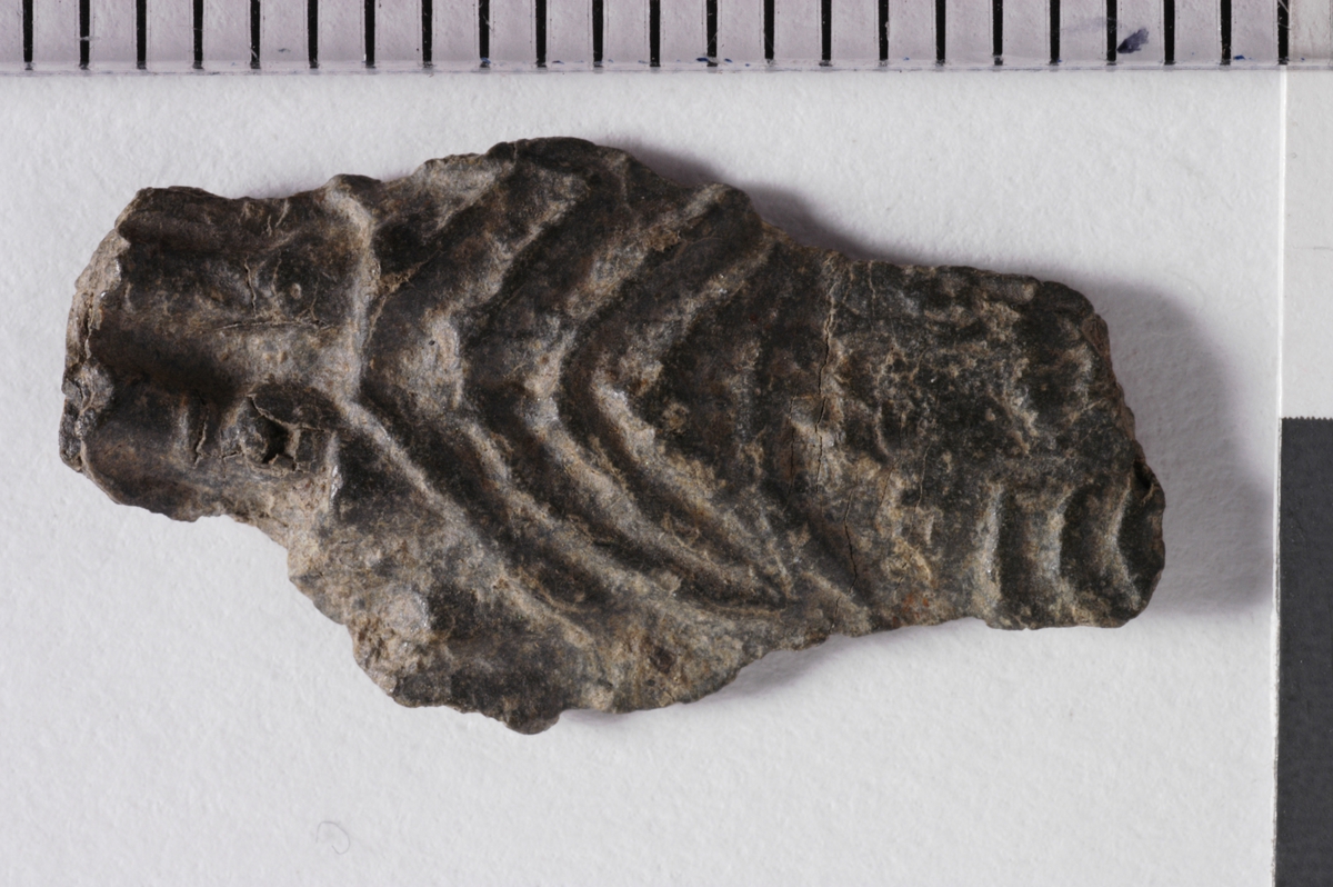 MALV: ST. M. 19, 5 MM, FRAGMENT MED RIFLETE DEKOR PÅ ENE SIDEN