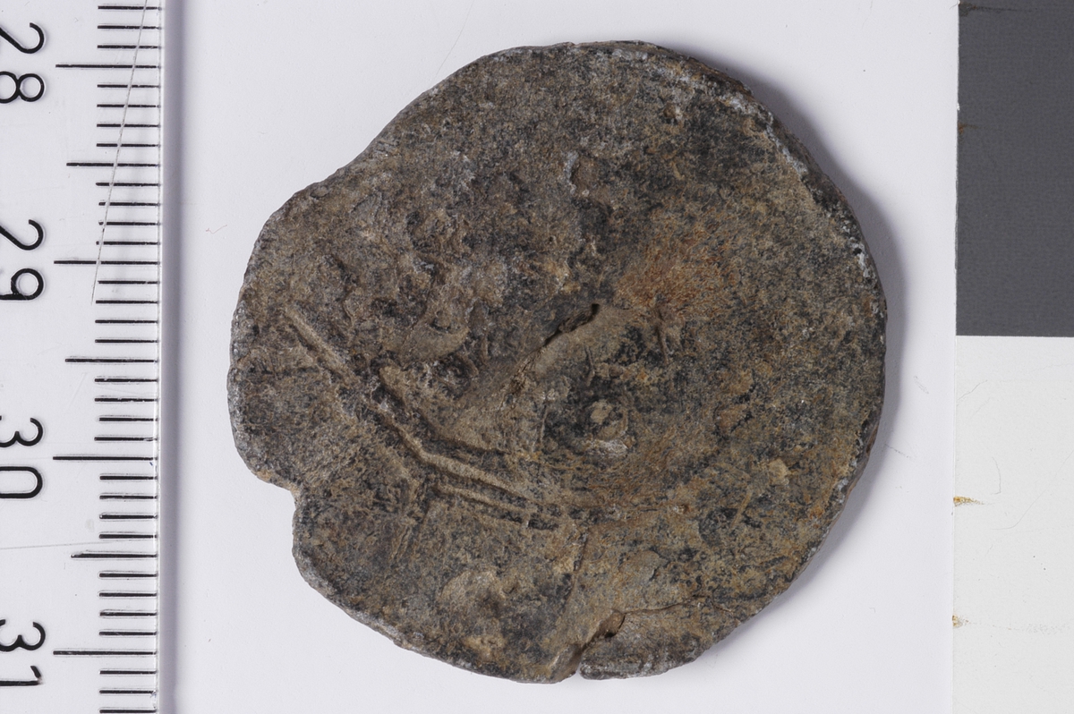 Vareplombe bestående av en plakett samt naglen. Gjenstanden har tegn til preg på ene siden, mulig skjoldmotiv of deler av en legende. 