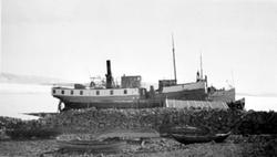 Hamar, Sterudodden, Høiensalodden, Hamarslippen, bedding for