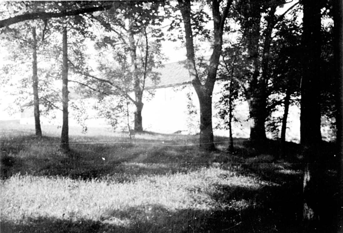 Hamar, Domkirkeodden, Storhamar gård, Storhamarlåven, Vestveggen,
