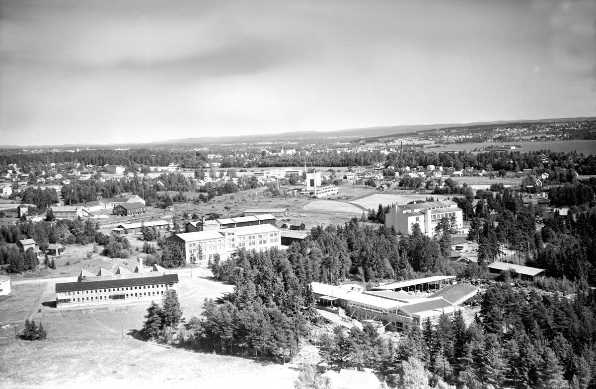 Hamar, Flyfoto, Martodden, foran til venstre K. A. Rasmussen edelmetall, Birkebeinervegen 21 Stålverket bygd i 1918-19 Thynes Møbelfabrikk fra 1949 senere bruk Herman Mehrens: Merit konfeksjon i 1956, Statens skogfrøverk i lys bygning til høyre, nytt industribygg i høyre forkant for Olrich Gummi-service A/S. Olrich Maskin A/S (i dag ligger Norsk Jernbanemuseum her Strandvegen 161-163)