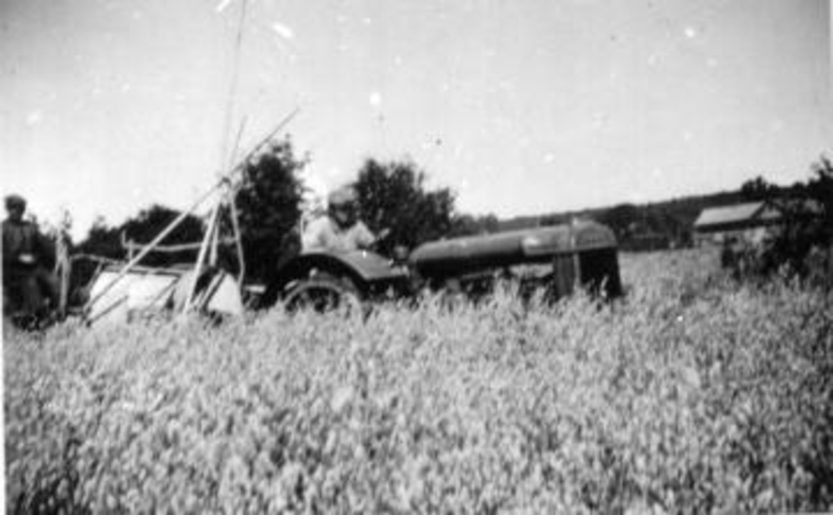 Skuronn på Kise mellom, Nes, Hedmark. Traktor med jernhjul og sjølbinder. Prøvekjøring "Viking" stavhaspel. Fra venstre er Even Arnt. Haugen, Kristian Rosenlund.
Havreåker.