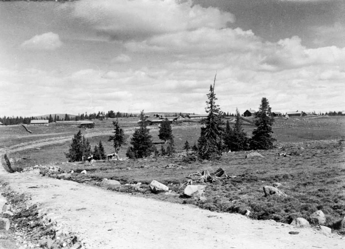 Utsikt mot setervangen på Storstilen seter, Ringsakerfjellet.