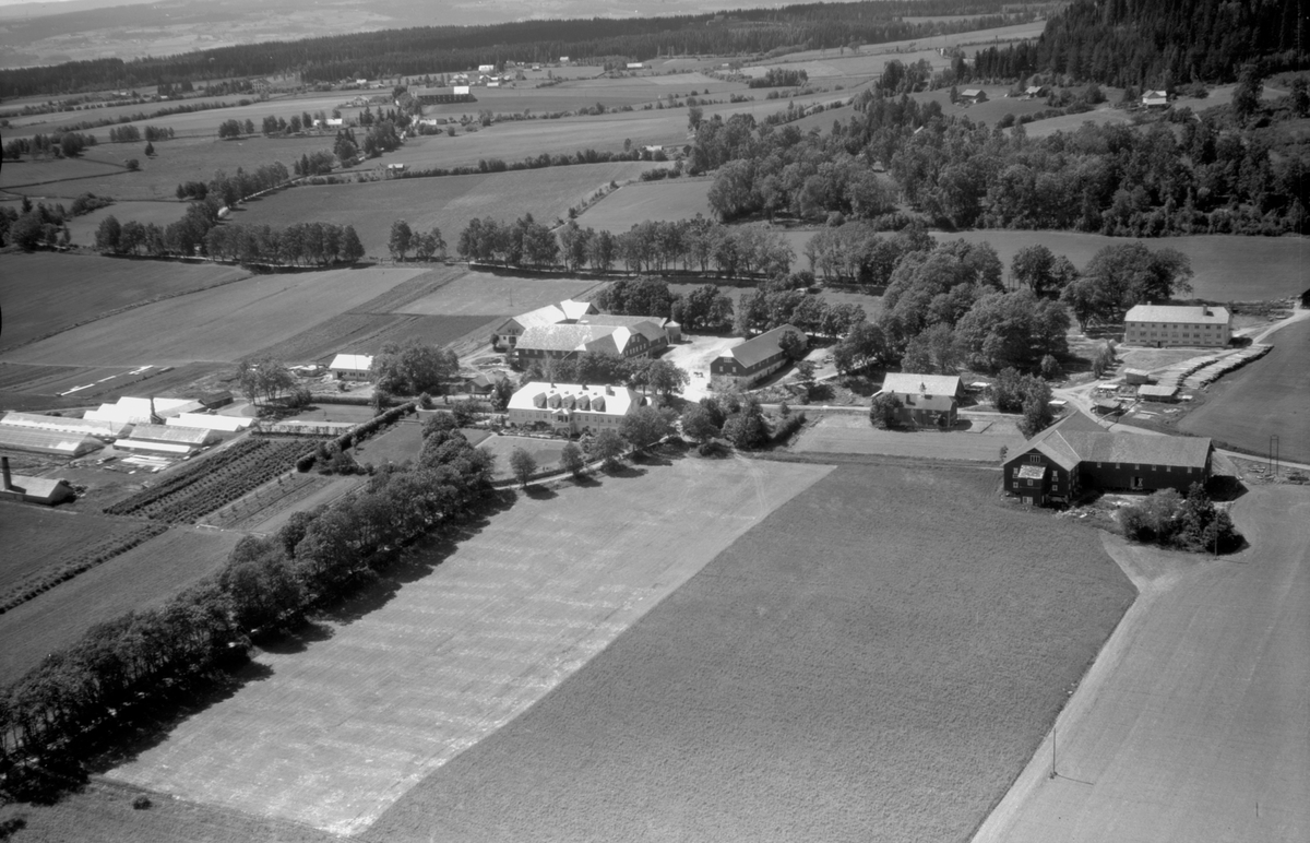 Flyfoto, gardsbruk, gartneri, Grefsheim, Nes, Hedmark.