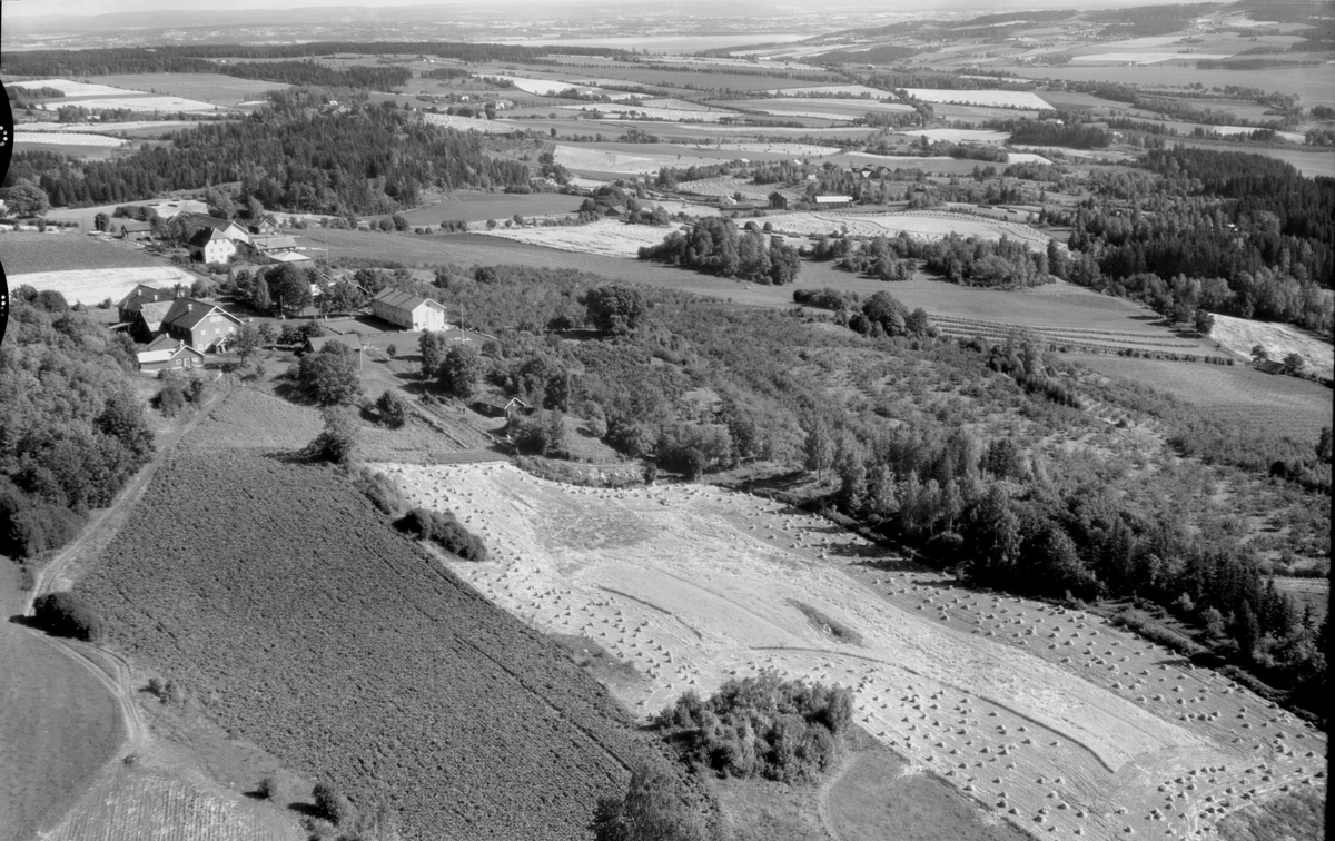 Flyfoto av Aske-gardene, Nes, Hedmark.