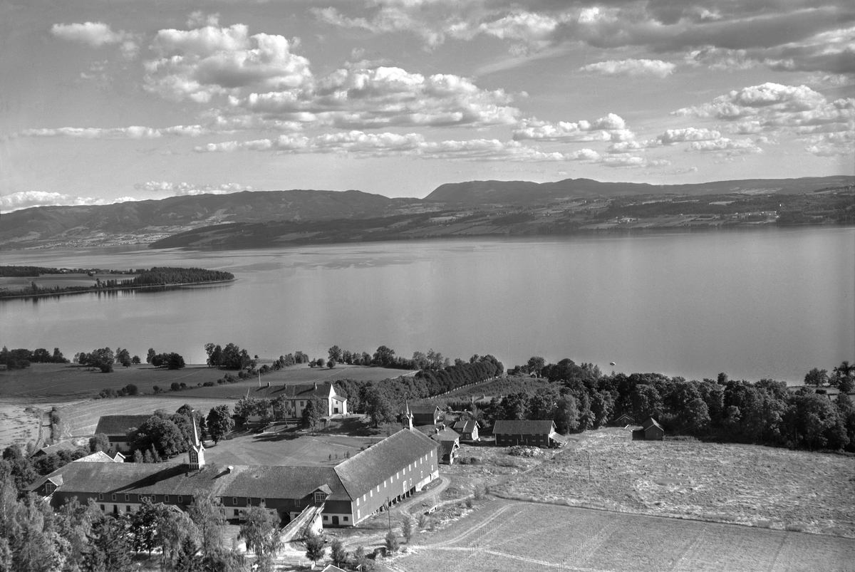 Flyfoto, gardsbruk, hagebruk, Hoel, Mjøsa, Nes, Hedmark, Hornsodden, Helgøya, Toten, Skreia.