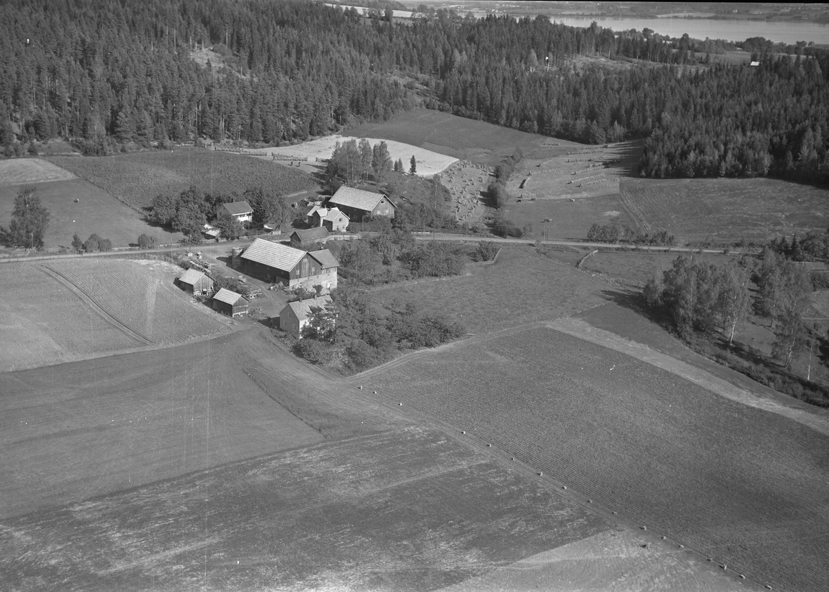 Flyfoto, gardsbruk, Raknerud, Helgøya.