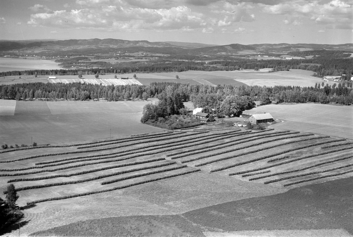 Flyfoto av Dalby lille, Gaupen, Ringsaker. Hesjer.
