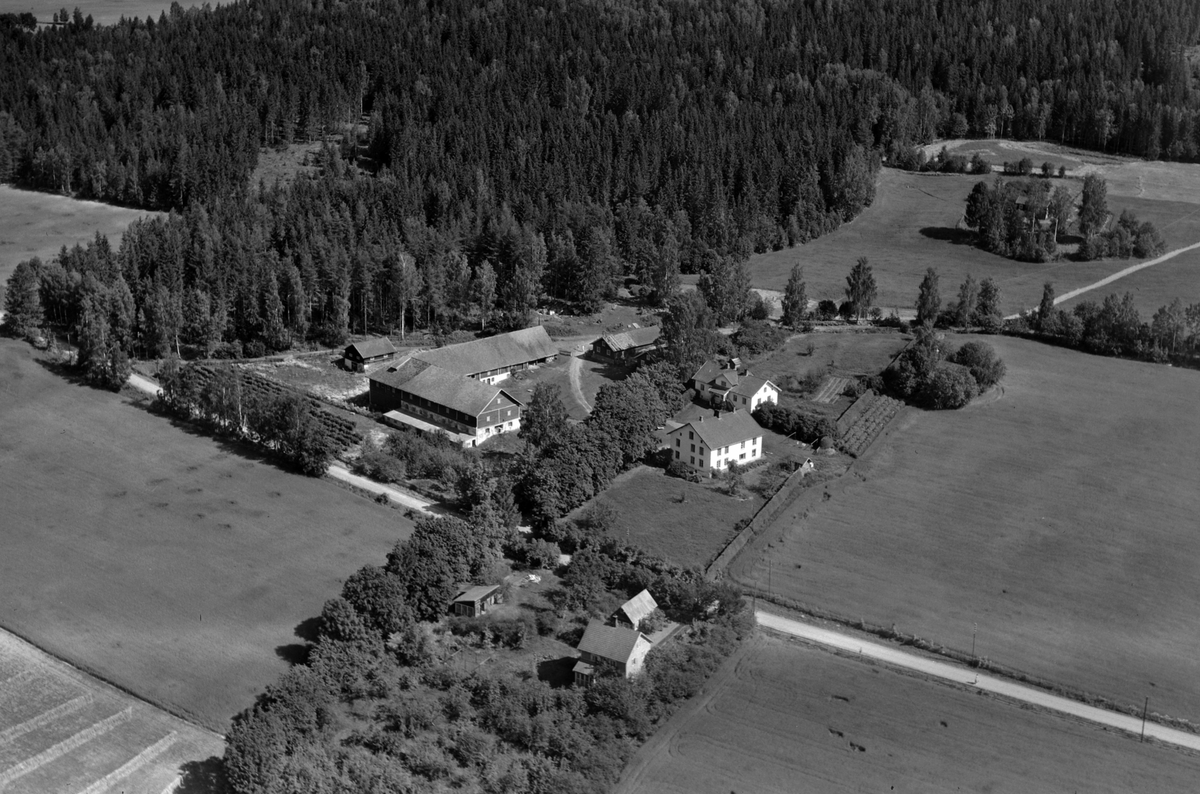 Flyfoto, gardsbruk, Senstad, Nes, Hedmark.